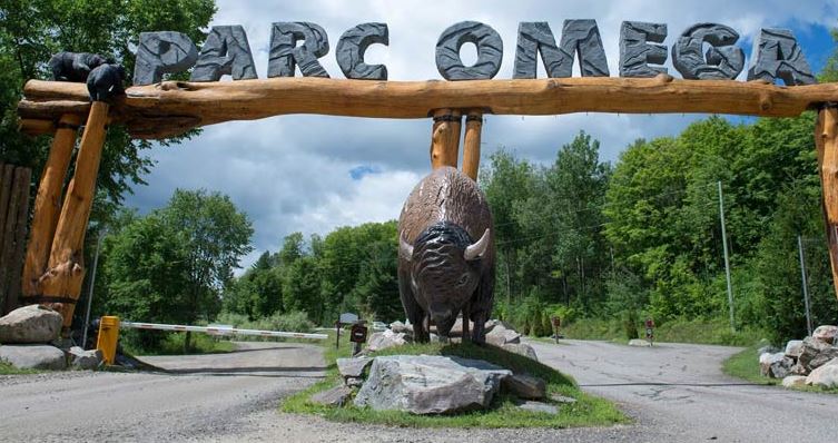 Zielona Szkoła (Park Omega)