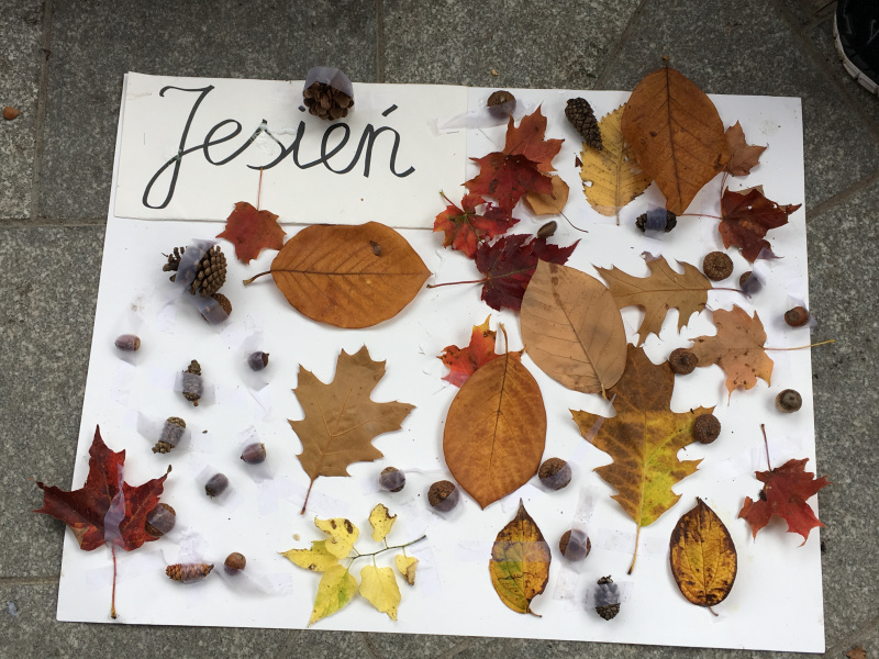 Montrealski Ogród Botaniczny